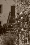 Nome File=immagine.jpg
Dimensione File=468KB
Dimensioni=800x1200
Data aggiunta=Ago 12, 2015 immagine.jpg