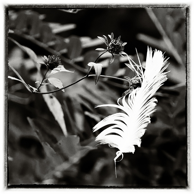 Clicca per l'immagine full size