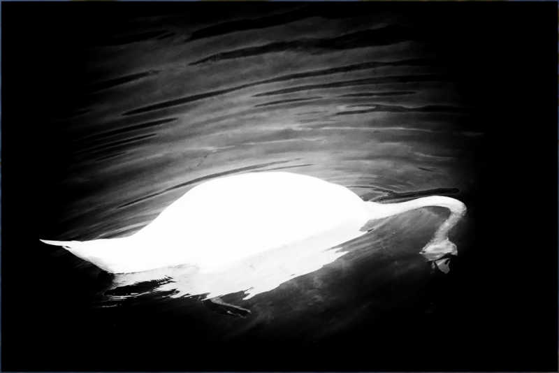 Clicca per l'immagine full size