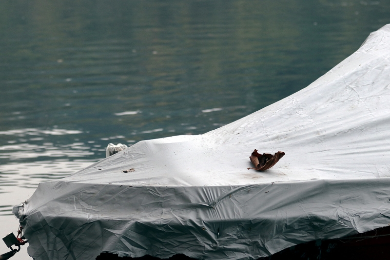 Clicca per l'immagine full size