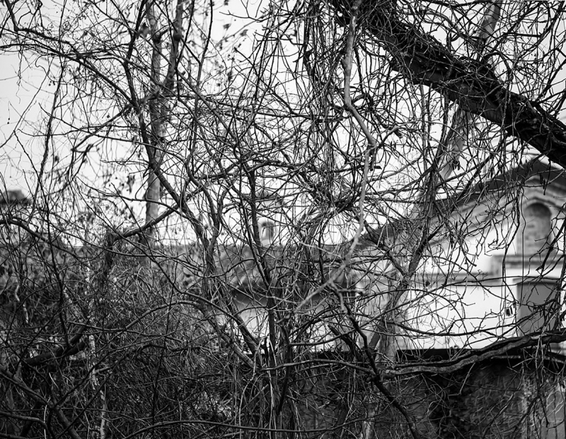 Clicca per l'immagine full size