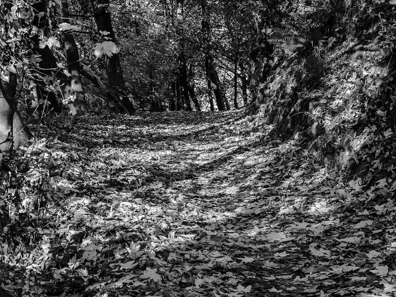 Clicca per l'immagine full size