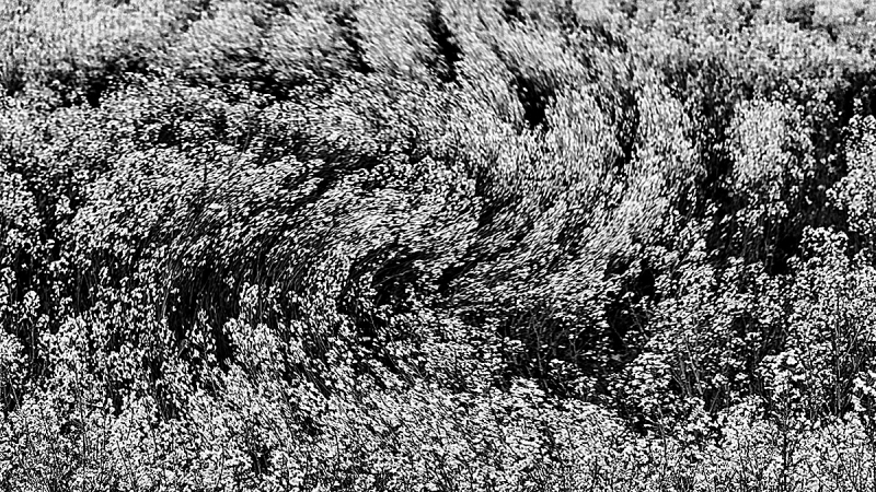 Clicca per l'immagine full size
