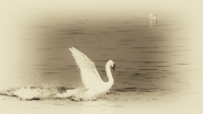 Nome File=20160131VecchioFiumeIMG0258EW.jpg
Dimensione File=365KB
Dimensioni=1200x675
Data aggiunta=Gen 31, 2016 20160131VecchioFiumeIMG0258EW.jpg