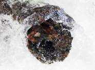 Nome File=20170701oBisAlberoFiumeQuattroP7010070EmmW.jpg
Dimensione File=584KB
Dimensioni=1200x900
Data aggiunta=Nov 07, 2018 20170701oBisAlberoFiumeQuattroP7010070EmmW.jpg