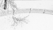 Nome File=20201228cNeveRamoCadutoIMG_4874EMMWDUE.jpg
Dimensione File=447KB
Dimensioni=1200x680
Data aggiunta=Dic 29, 2020 20201228cNeveRamoCadutoIMG_4874EMMWDUE.jpg
