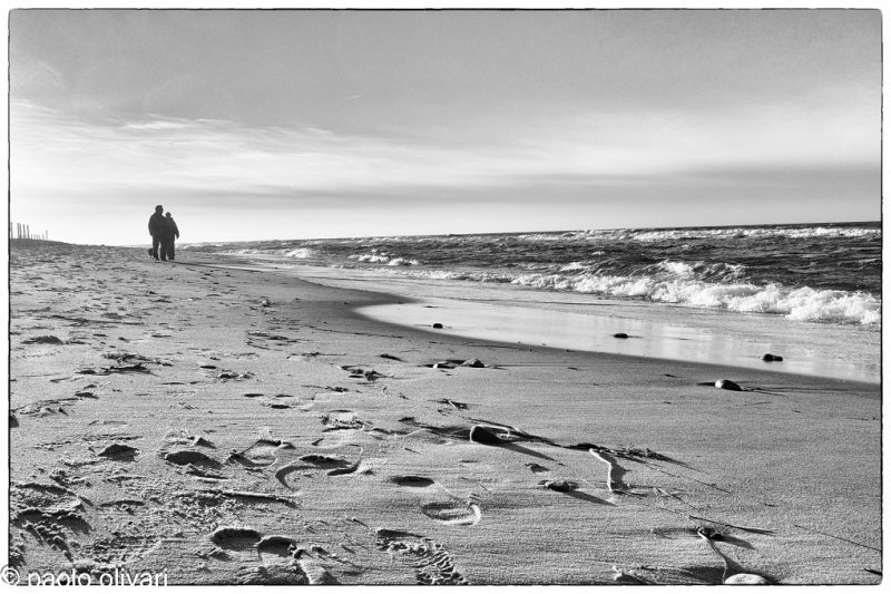 Clicca per l'immagine full size