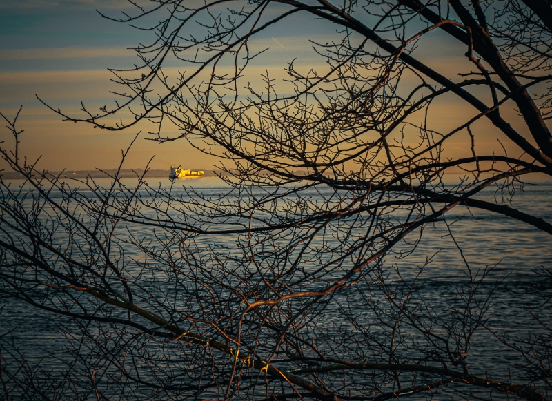 Clicca per l'immagine full size