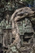 Angkor_9.JPG