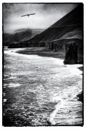 Nome File=Dark_Coast-.jpg
Dimensione File=574KB
Dimensioni=683x1024
Data aggiunta=Dic 14, 2015 Dark_Coast-.jpg