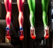 Nome File=Legs_(1_of_1).JPG
Dimensione File=434KB
Dimensioni=879x800
Data aggiunta=Lug 05, 2016 Legs_(1_of_1).JPG