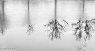 Nome File=Winter_reflections_ridotta.jpg
Dimensione File=288KB
Dimensioni=1200x658
Data aggiunta=Nov 25, 2015 Winter_reflections_ridotta.jpg