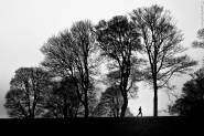 Nome File=black_runner-1.JPG
Dimensione File=431KB
Dimensioni=1200x800
Data aggiunta=Gen 10, 2017 black_runner-1.JPG