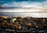 Nome File=søvang,båd_på_hovedet_ok.jpg
Dimensione File=213KB
Dimensioni=1131x800
Data aggiunta=Gen 10, 2018 søvang,båd_på_hovedet_ok.jpg