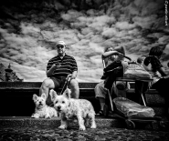 Nome File=two,_white,dogs,nyhavn,bn_(1_of_1).JPG
Dimensione File=483KB
Dimensioni=950x800
Data aggiunta=Lug 27, 2017 two,_white,dogs,nyhavn,bn_(1_of_1).JPG