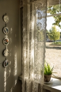 Nome File=valby,window,curtain,plant-1.JPG
Dimensione File=507KB
Dimensioni=800x1200
Data aggiunta=Ago 31, 2017 valby,window,curtain,plant-1.JPG