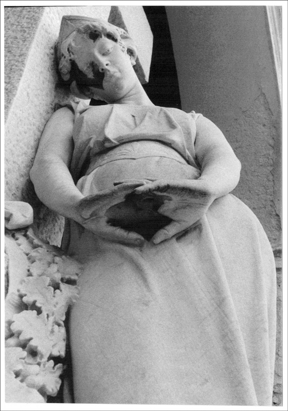 Clicca per l'immagine full size