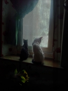 Nome File=cat_sanctuary.jpg
Dimensione File=152KB
Dimensioni=900x1200
Data aggiunta=Apr 02, 2019 cat_sanctuary.jpg