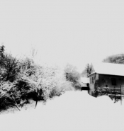 Nome File=petis3.jpg
Dimensione File=72KB
Dimensioni=1139x1200
Data aggiunta=Feb 16, 2019 petis3.jpg