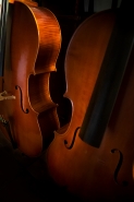 Le_curve_dei_violoncelli.jpg