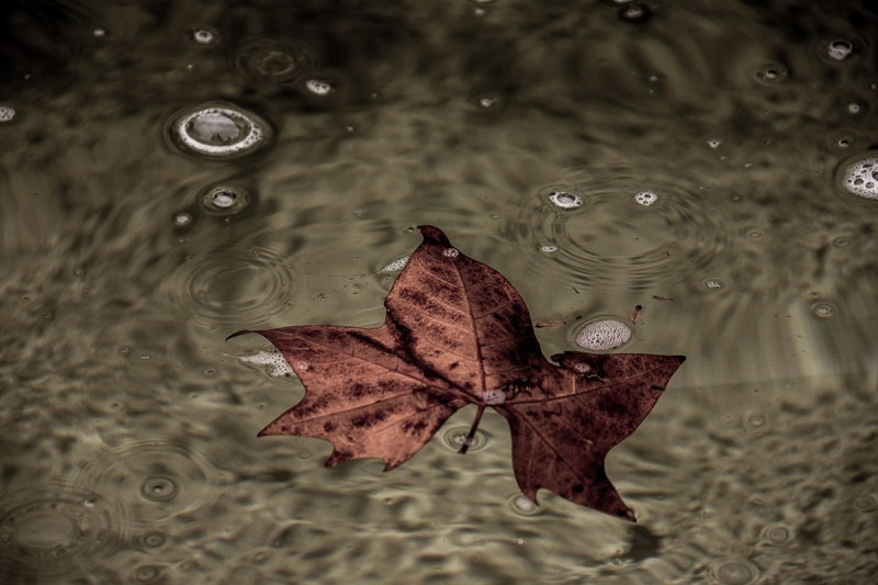 Clicca per l'immagine full size