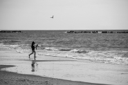 Filename=BAB_4387_4.jpg
Filesize=242KB
Dimensions=1200x800
Date added=Mar 30, 2018 BAB_4387_4.jpg