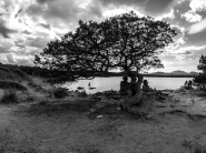 Nome File=alberocalasabina.jpg
Dimensione File=463KB
Dimensioni=1200x900
Data aggiunta=Gen 21, 2019 alberocalasabina.jpg