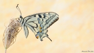 Nome File=1926.jpg
Dimensione File=257KB
Dimensioni=1000x563
Data aggiunta=Set 23, 2019 1926.jpg