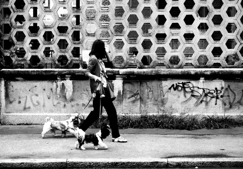Clicca per l'immagine full size