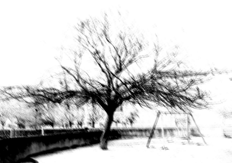 Clicca per l'immagine full size