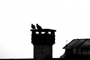 rsz_x_-t_100_-226_057.jpg