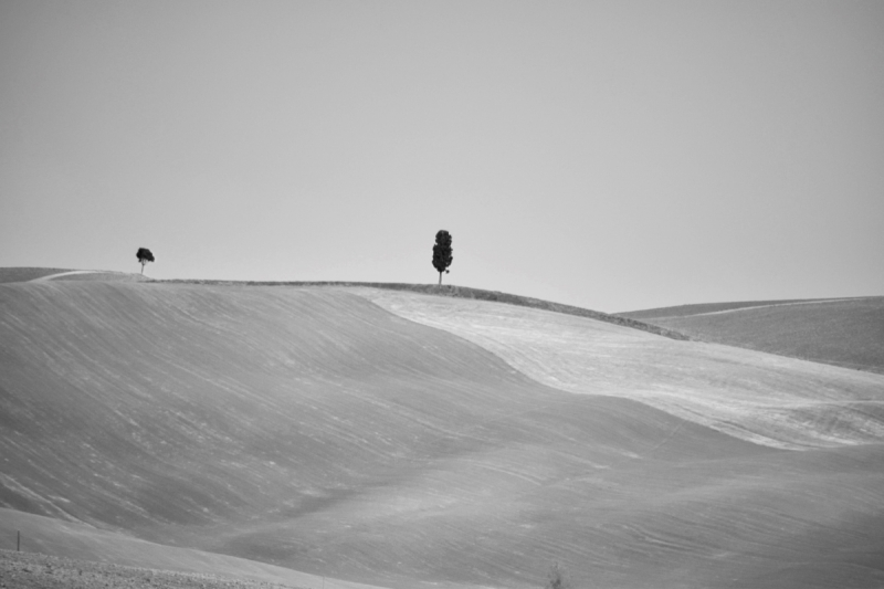Clicca per l'immagine full size
