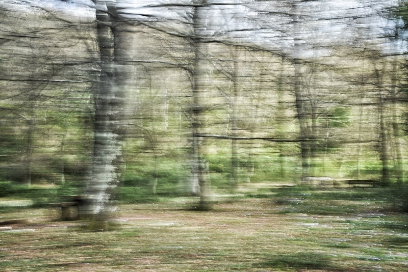 Clicca per l'immagine full size