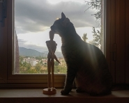 Filename=MOLLY_BASTET_1_IMG_20230914_182020_copia_MM.jpg
Filesize=441KB
Dimensions=1200x960
Date added=Sep 14, 2023 MOLLY_BASTET_1_IMG_20230914_182020_copia_MM.jpg
